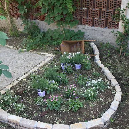 Villa Tea Biograd na Moru